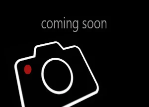 Images coming soon for 29 Bradley Ave ; MLS ID: X12011994